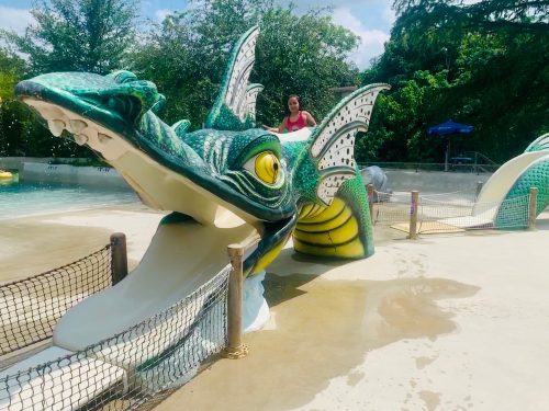 Schlitterbahn dragon